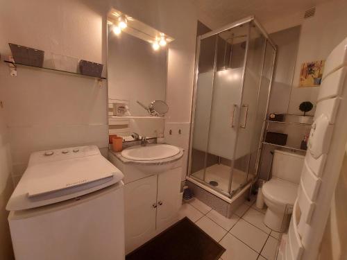 une salle de bain avec une douche, un lavabo et des toilettes dans l'établissement Appartement 3 pers avec terrasse proche plage et commerces - FR-1-776-123, à Argelès-sur-Mer
