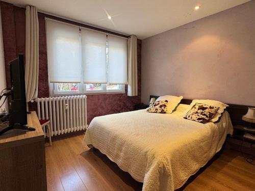 - une chambre avec un lit, une télévision et 2 fenêtres dans l'établissement Type 2 lumineux avec grand garage à Aix-les-Bains - FR-1-555-104, à Aix-les-Bains