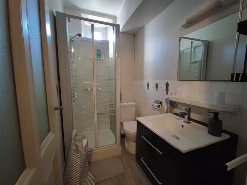 Ένα μπάνιο στο Studio charmant avec kitchenette séparée, animaux acceptés à Aix-les-Bains - FR-1-555-105