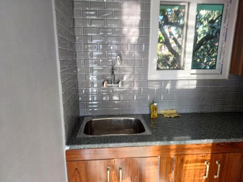 Kuchyň nebo kuchyňský kout v ubytování vera home stay