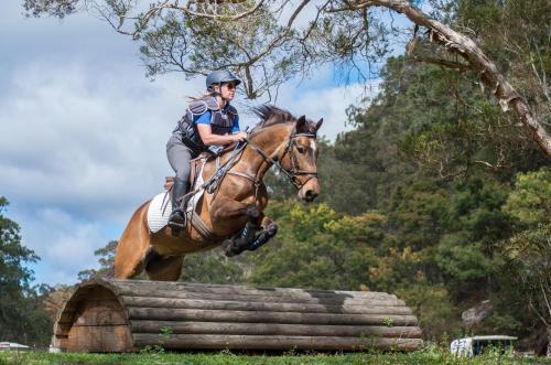 a person riding a horse jumping over an obstacle at Willow's Retreat in Wattagong