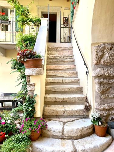 a set of stairs with potted plants on them at Agriturismo Maso Giomo in Brentonico