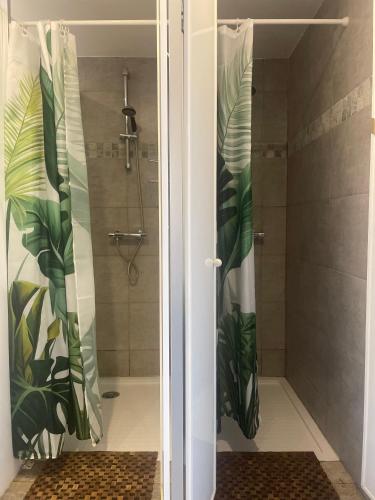 a bathroom with a shower with a shower curtain at Las Hadas Albergue -solo para Peregrinos - Vegano -Bar in Reliegos