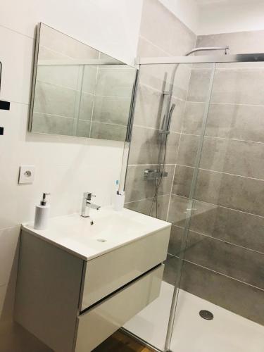 une salle de bain avec un lavabo et une douche dans l'établissement Villa Stella plage proche Le Touquet pour 6ou8 personnes, à Cucq