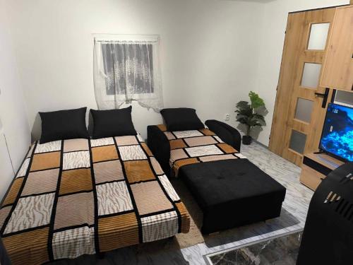 TV a/nebo společenská místnost v ubytování Welness, Holiday Cheb-Skalka
