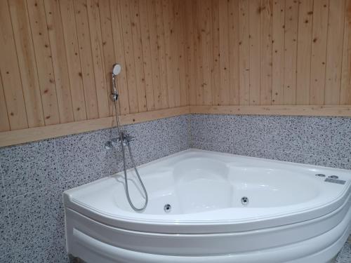 a bath tub with a shower in a bathroom at Vernia in Yeosu