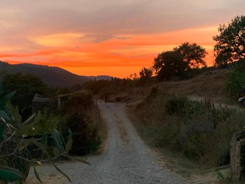 a dirt road with a sunset in the background at Agriturismo Podere Tegline in Radda in Chianti