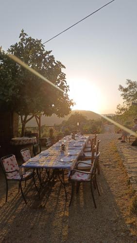 a long long table with chairs and a table with plates at Agriturismo Podere Tegline in Radda in Chianti