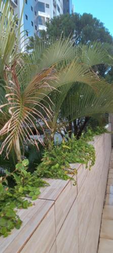 a wooden fence with palm trees on top of it at Luz de Regina Hospedagem in Salvador