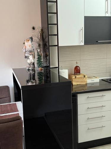 Kuchyň nebo kuchyňský kout v ubytování T lux apartman