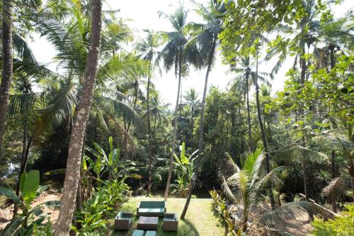 a picnic table in the middle of a forest with palm trees at ELIVAAS Maison 10 - Luxe 4 BHK Villa With Pvt Pool, Garden & Portuguese Charm in Siolim