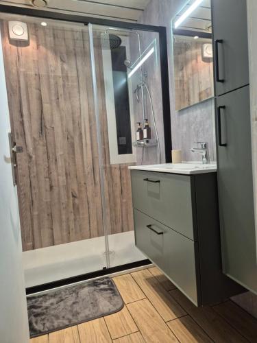 un baño con ducha y lavabo en Gîte les jardinette 3 personnes, en Futeau