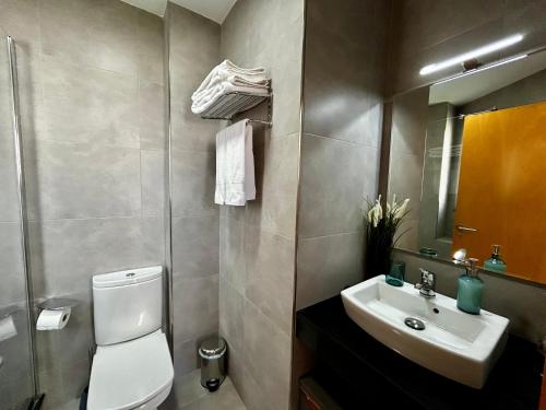 a bathroom with a white toilet and a sink at Lo balconet del Delta. Àtic-dúplex vacacional. in Amposta