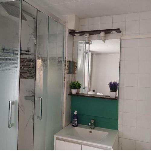 une salle de bain avec un lavabo et une douche avec un miroir dans l'établissement Maison 10 pièces Spa jacuzzi Paris Airport CDG jardin arboré clos, à Tremblay-en-France