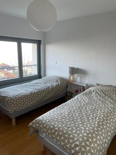 une chambre avec deux lits et une grande fenêtre dans l'établissement La petite maison vue lac d'Elise, à Neuvecelle