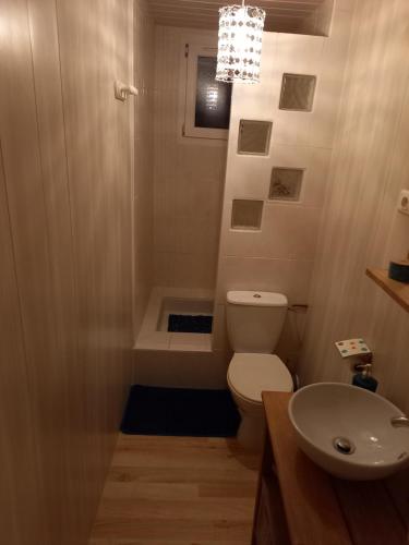 une salle de bain avec toilettes et lavabo dans l'établissement Les Coteaux de Chalain, à Doucier