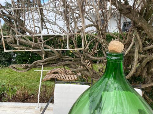 a green bottle sitting on a table next to a tree at Stefs place in Pula