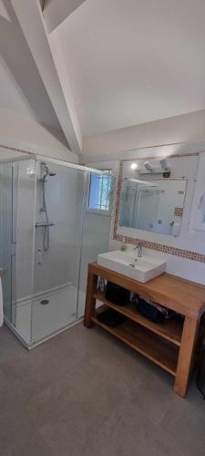 une salle de bain avec une douche, un lavabo et un miroir dans l'établissement Maison de standing avec piscine vue mer Corse du sud de 6 à 14 personnes 7 chambres, à Coti-Chiavari