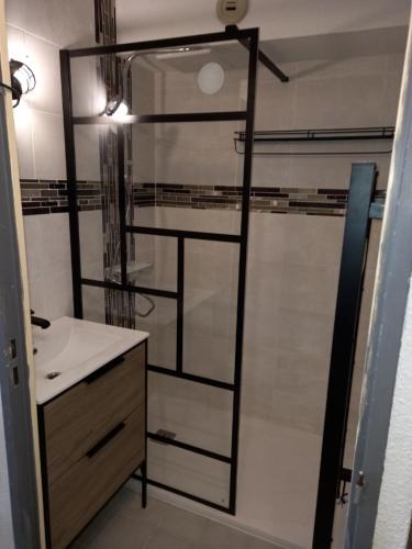 une salle de bain avec un lavabo et une douche en verre dans l'établissement Résidence Le PALM BEACH, à La Grande Motte