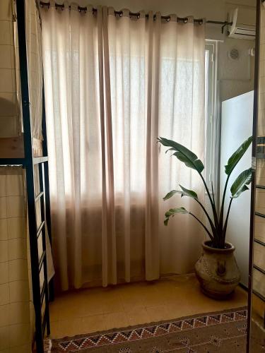 Imagen de la galería de Nomads Hostel Tunisia, en Túnez
