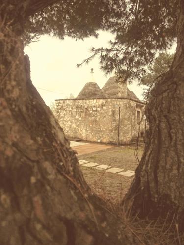 a view of a building through a tree at Loggia Dei Lezzi in Noci