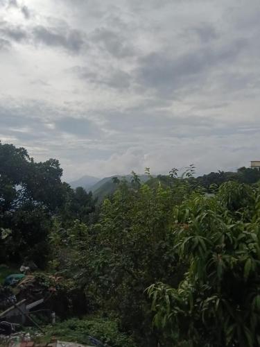 a view of a forest with mountains in the background at Roamwander Apartments in Vagamon