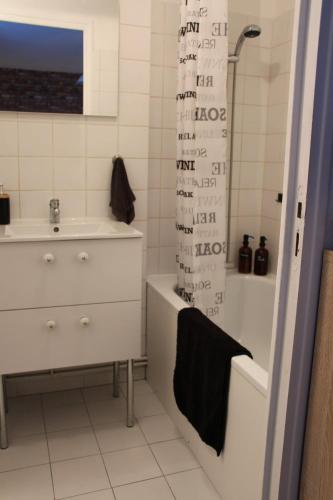 une salle de bain avec un lavabo, une baignoire et une douche dans l'établissement Studio 211 au cœur du campus de Belle Beille, à Angers