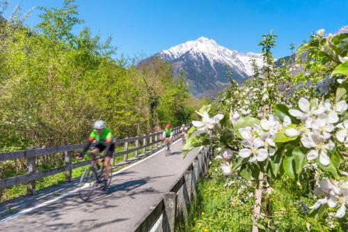 three people riding bikes on a road with mountains in the background at Plarserhof in Lagundo