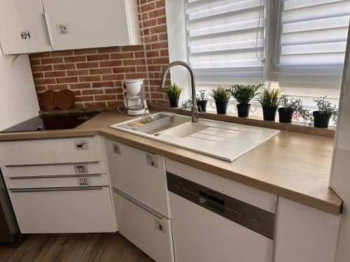 une cuisine avec un évier et des plantes en pot dans l'établissement Charmante maison écologique à 2 pas de Paris, aux Lilas