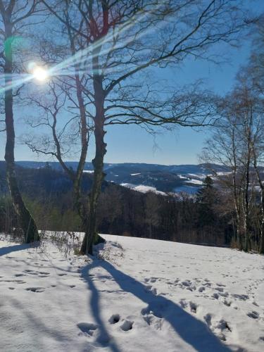 a snow covered hill with a tree and the sun at Ferienwohnung Sauerland Fernblick in Olsberg