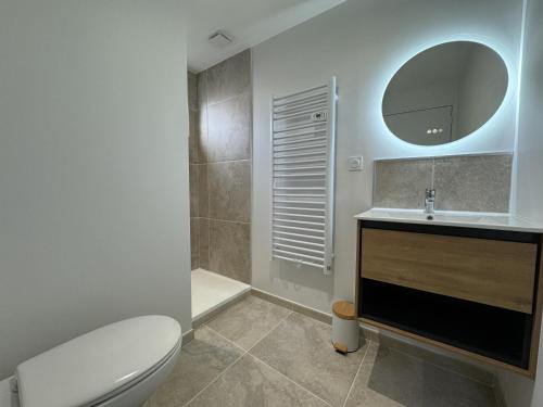 une salle de bain avec toilettes, lavabo et miroir dans l'établissement Le Douplex - 4pers - Hyper Centre - Rêve au Mans, au Mans