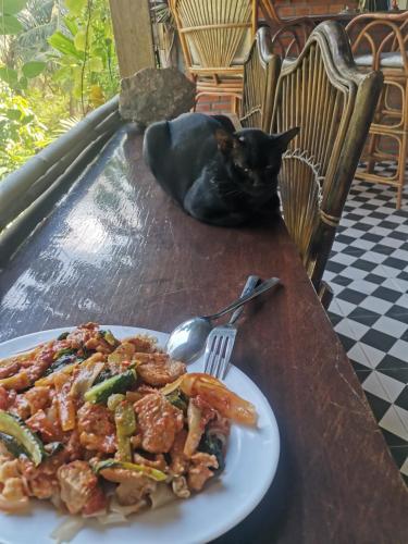 Comida en la casa de huéspedes o alrededores
