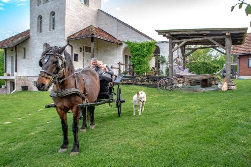 a man in a horse drawn carriage with a dog at Šurička bajka in Loznica