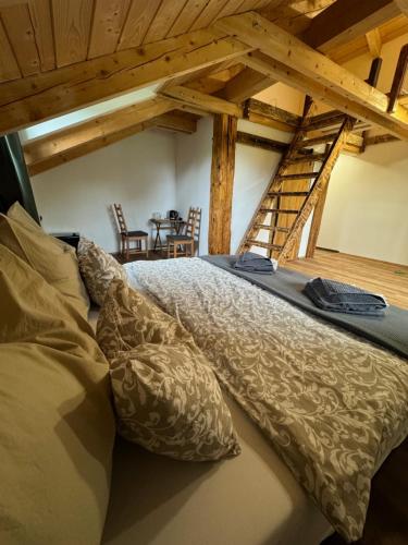 a bedroom with a bed and a ladder in a room at Penzion Farma Žleby in České Žleby