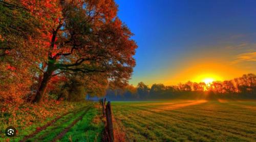 a sunset over a field with a tree and a fence at lodge for all ages in Aviemore