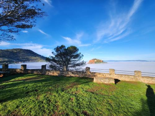 eine steinerne Mauer mit einem Baum auf dem Wasser in der Unterkunft La Casa de las Golondrinas in Santisteban del Puerto