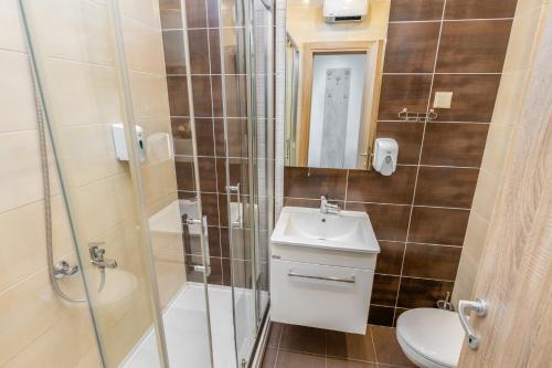 a bathroom with a toilet and a sink and a shower at Apart hotel M S KATUNJANIN in Herceg-Novi