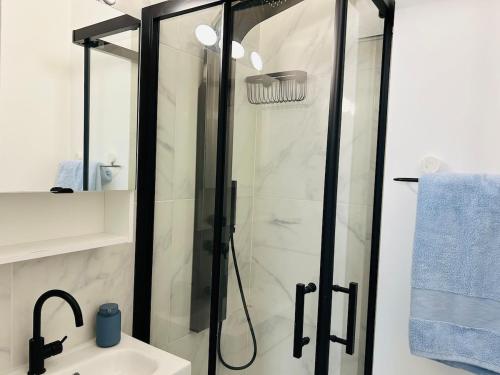 une douche avec une porte vitrée à côté d'un lavabo dans l'établissement Le Joli Petit Morny Hypercentre, à Deauville