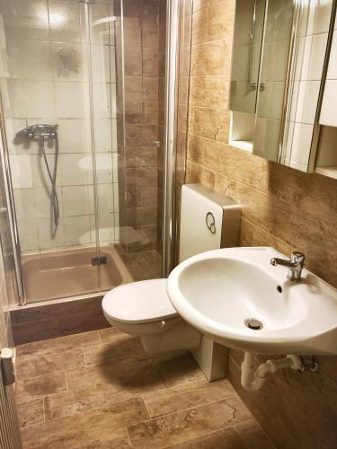 a bathroom with a toilet and a sink and a shower at Ferienwohnungen Willrich in Blankenheim