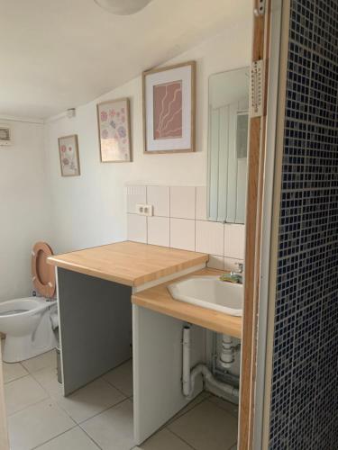 une salle de bain avec un lavabo et des toilettes dans l'établissement Maison de montagne 8 couchages, à Aston