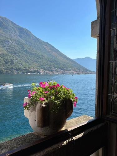 Waterfront Historical Villa Perast photo 3