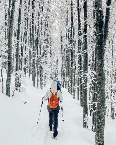 a person with a backpack walking through a snow covered forest at Central Greenlife in Tarvisio