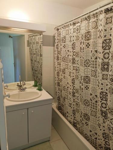 un bagno con lavandino e tenda da doccia di Appartement a Digne-Les-Bains