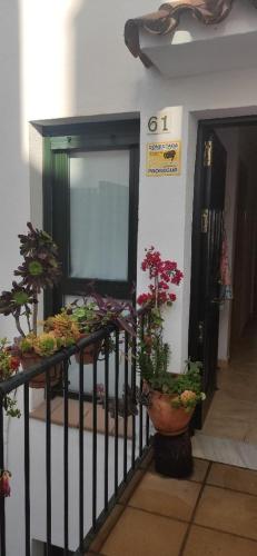 a balcony with potted plants on the side of a building at Beautiful Duplex with a Patio in Alcalá de los Gazules