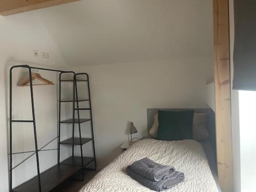 a bedroom with a bed and a book shelf at FREIGEIST Rooms in Haßloch
