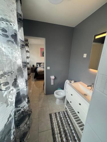 ein Badezimmer mit Toilette, Waschbecken und Spiegel in der Unterkunft Charmant & LUXURY studio Paris Montreuil in Montreuil