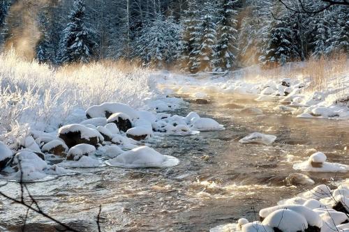 a group of animals standing in a stream with snow at The hunters-lodge in Ludvika