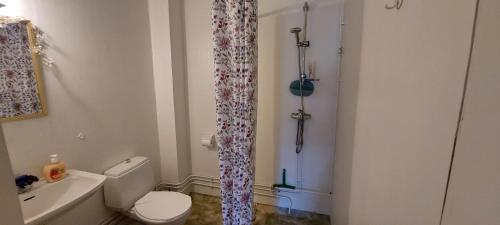 a bathroom with a toilet and a shower curtain at The hunters-lodge in Ludvika