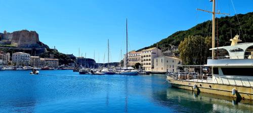 un groupe de bateaux amarrés dans un port avec des bâtiments dans l'établissement Maison 4 étoiles 2 Chambres à Bonifacio, à Bonifacio
