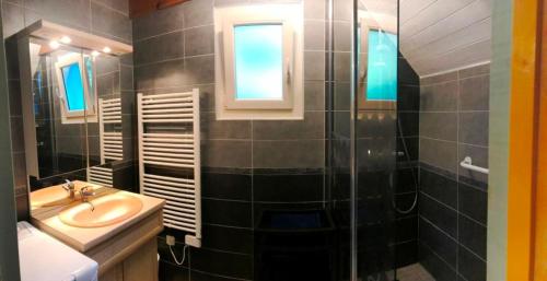 une salle de bain avec un lavabo et une douche dans l'établissement Gîtes de Stouet, à Artalens-Souin
